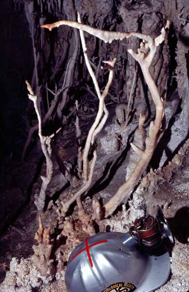 Snake Dancers, Carlsbad Caverns, NM - Photo Carl Kunath